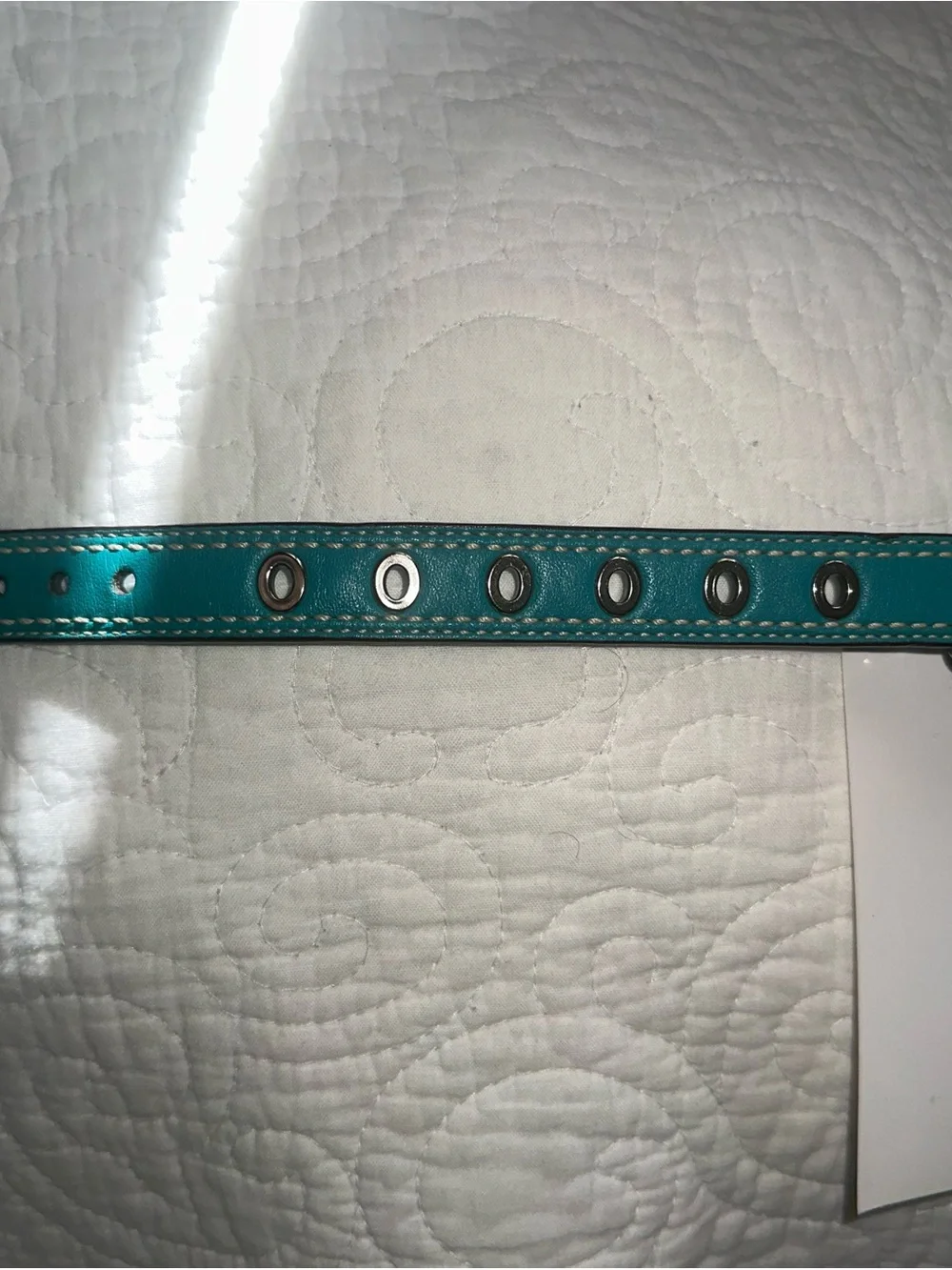 Coach XS Teal Leather Dog Collar with Silver Hardware